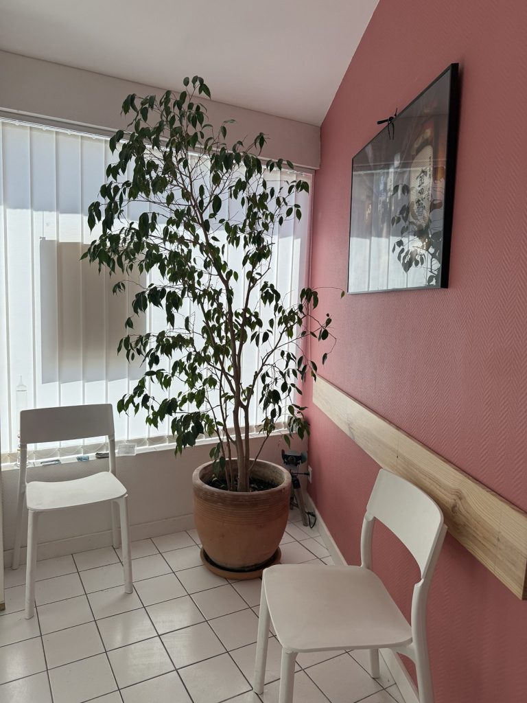 Salle d'attente du cabinet ÉtioSanté, ostéopathe à Balma